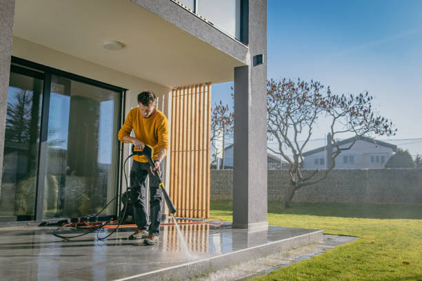 Best Solar Panel Cleaning  in Longmont, CO