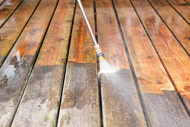 Best Roof Washing  in Longmont, CO